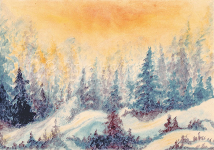 182_Verschneiter Winterwald