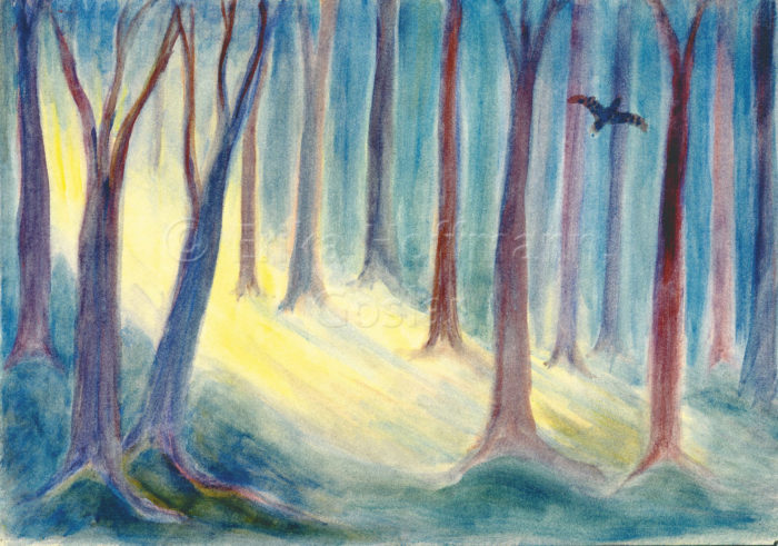 185_Sonnenlicht im Wald