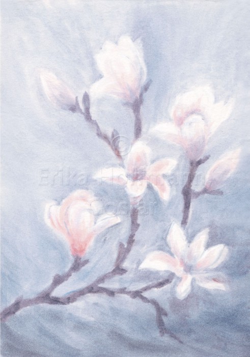 055_Magnolie, rosa-grau