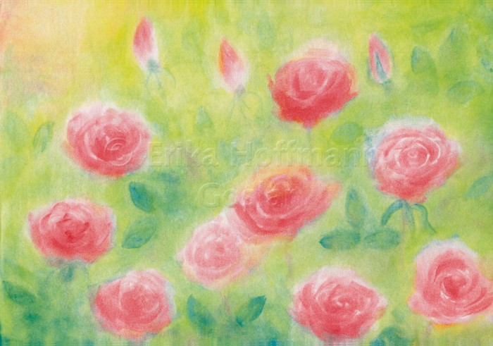 074_Rosen, quer