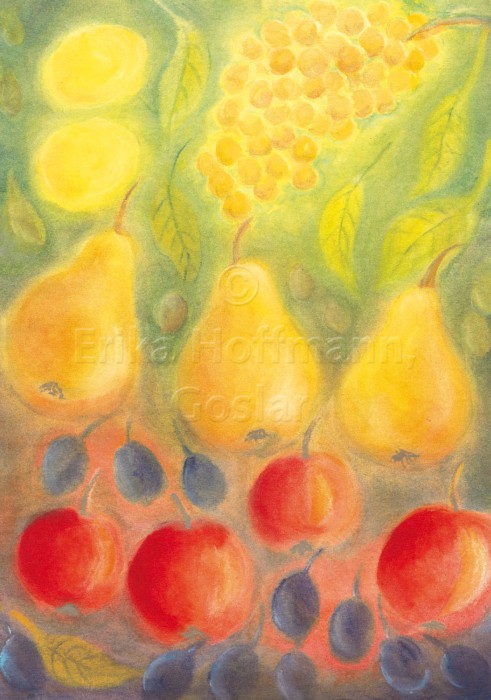 125_Obsternte