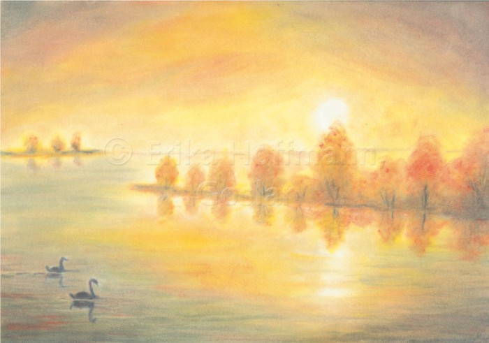 157_Herbstlicher Fluss, Schwaene