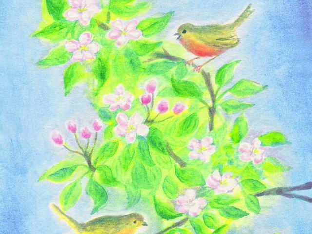 069: Vögel in Apfelblüte (I)