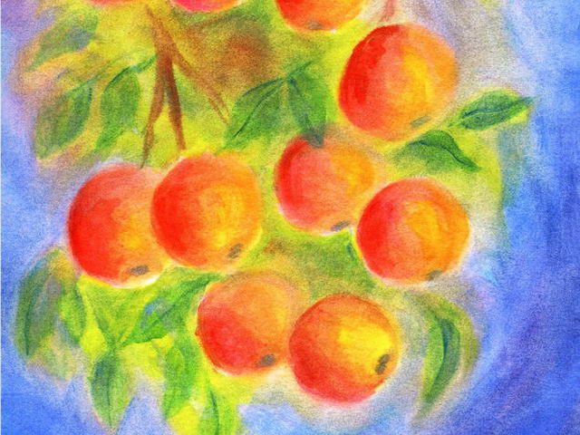 124: Äpfel am Ast