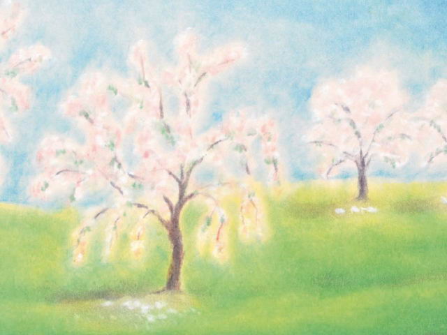 146: Blühende Obstbäume