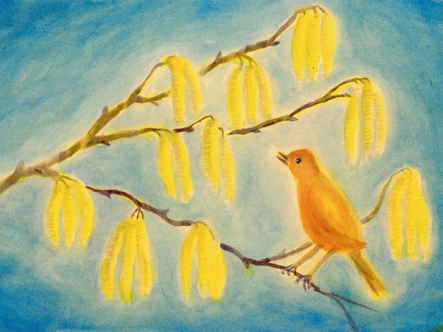 186: Vogel auf dem Ast *