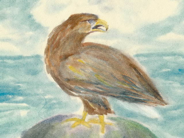 201: Seeadler *